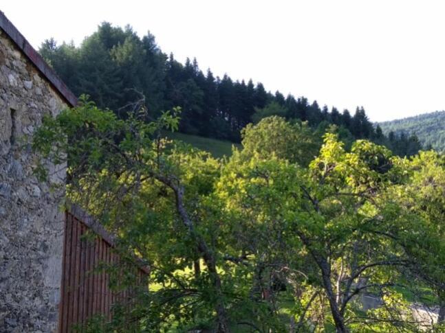 La Caminada Villa Fougax-et-Barrineuf Exteriör bild